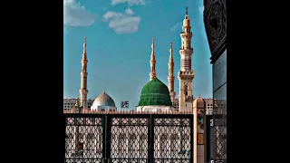 حب النبي ترتاح ﷺ    مولانا الشيخ علي المنصراوى دندنها