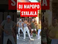 Download Lagu mapopo shalala