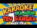 Download Lagu karaoke teu sangka bajidor nada pria