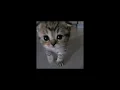Download Lagu Bruno Mars - Locked Out Of Heaven (sped up)