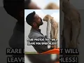 Download Lagu Ongelooflijk zeldzame foto's die je later niet zult zien!