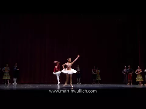 EL QUIJOTE - Pas de deux final - www.martinwullich.com