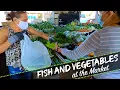 Bargain House of Fleas Farmers Market Jacksonville Florida