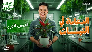 احياء تالتة ثانوي 2026 الدعامة في الكائنات الحية الدعامة في النبات 