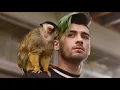 제인 ZAYN Still Got Time(Feat. Partynextdoor) 가사해석, 자막