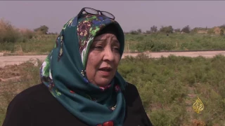 هذا الصباح أصباغ كيميائية باستخدام نبتة النيلة الطبيعية 