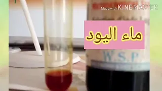 الكشف على وجود النشاء في الخبز و الفاصولياء والبطاطا بماء اليود قناة جنة العلوم 