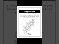 Pumpkin Life Cycle Worksheet for Kids - Fall Science Activity