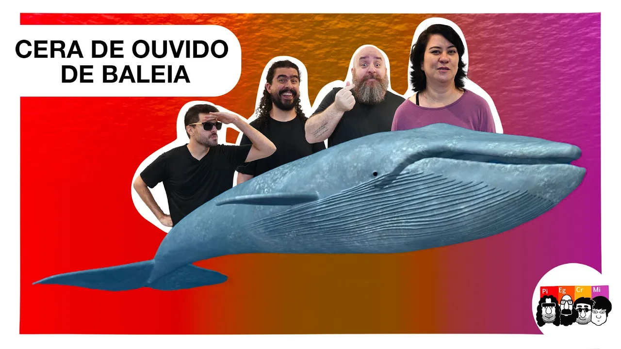 Como a cera de ouvido ajuda a entender a vida das baleias?