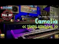 Camelia Maafkanlah Aku TANPA KENDANG Versi Speed Plus JEP Plus Vokal