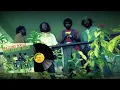Wailing Souls - Kingdom Rise Kingdom Fall (With Lyrics)