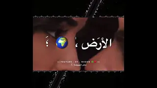 فراشة ماشية تلف مش كورونا انس كريم حالات واتس اب مقاطع حب قصيره دندنها