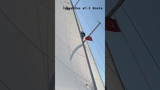 Good sail today.  #sailing #liveaboard