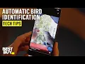 Smart Features of the Bird Buddy Smart Feeder with Solar Roof - Tech Tips from Best Buy