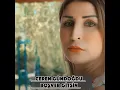 Boşver Gitsin
