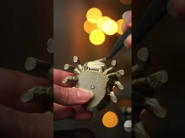 Charlotte the Jumping Spider video thumbnail