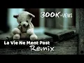 Download Lagu La Vie Ne Ment Past [Remix] Music 🎶