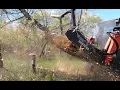 Powerful Skid Steer Disc Mulcher Demo by Swift Fox Industries