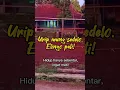 Download Lagu Wong urip ning dunyo mung sedelo | Part 1 | Tanpa Musik