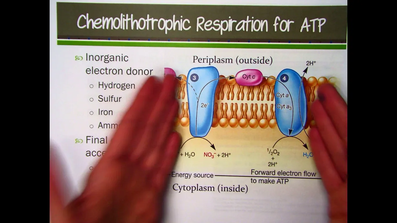 Chemolithotrophy