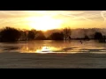 Roding valley nature reserve. MUSIC: Someone else -  Thomas Newman