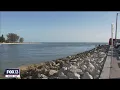 Florida red tide blooms concern beach business owners