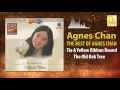 Download Lagu Agnes Chan - Tie A Yellow Ribbon Round The Old Oak Tree (Original Music Audio)