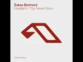 You Never Know (Extended Mix)