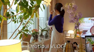 Download sub) Housewife of 8 years, 10 minutes a day that changes me🌿｜Morning routine, cleaning, organizing 🍃 MP3