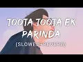 Lagu Toota Toota Ek Parinda | Kailash kher | Music Lyrics