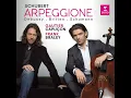 5 Stücke im Volkston, Op. 102: II. Langsam - Gautier Capuçon, Frank Braley & Robert Schumann