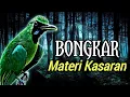 Download Lagu CUCAK IJO GACOR BONGKAR MATERI KASARAN, PANCINGAN DAN MASTERAN CUCAK IJO SEMAKIN BUNYI GACOR