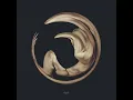 drown - Siamese