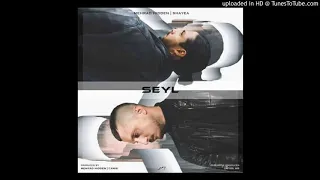 Mehrad Hidden Shayea اهنگ سیل از شایع و مهراد هیدن 