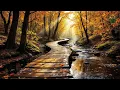 Lagu (No Ads) Beautiful Relaxing Music 🍁 Autumn Melodies for Stress Relief \u0026 Healing