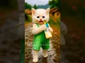 Download Lagu Dudi dudi dum dum 🍼😻#shorts #shortsfeed #dudidudidam #catshorts