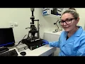 Atomic Force Microscopy AFM