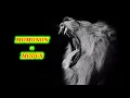 MOMONON - MODUS