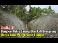 Download Lagu Mantap‼️Bongkar Habis Sarang Ular Kali Srengseng Untuk Jalur Pengerukan Lumpur