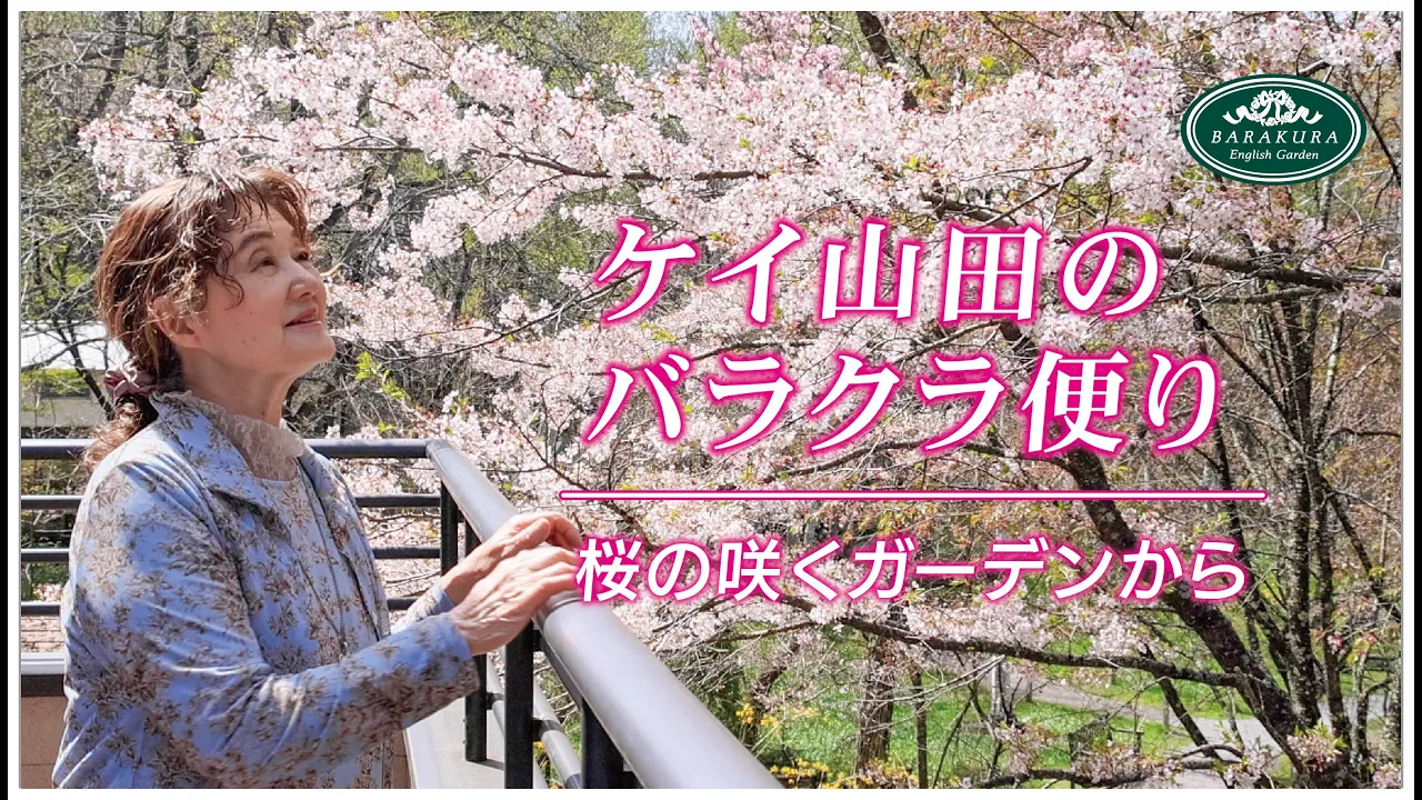 長野 茅野市 蓼科高原バラクライングリッシュガーデン入場Eチケット 予約