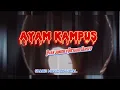 Lagu AYAM KAMPUS - RYAN JUNIOR X RICHARD JERSEY || DISCO TANAH 2023