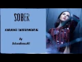 Selena Gomez - Sober Karaoke / Instrumental with lyrics on screen