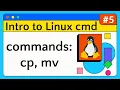 Copy Move Files - Introduction to Linux Command Line