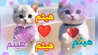 اغنية هيثم اغنية باسم هيثم اغنيه هيثم اغنية هيثم الجزائر العراق فلسطين البحرين السعودية تونس 