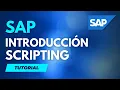 TUTORIAL Introduccion a SAP Scripting Comienza a automatizar tareas en SAP GUI