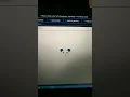 make panda by python turtle ll