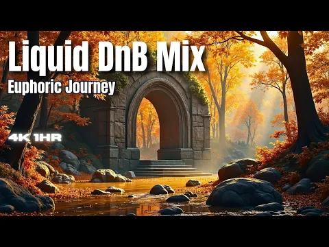 Euphoric Journey 🌌 | Liquid Drum and Bass 2025 | Dreamy Instrumental DnB [1 Hour]