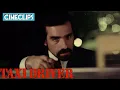 Martin Scorsese Cameo Taxi Driver CineStream