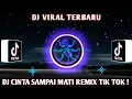 Lagu DJ CINTA SAMPAI MATI VIRAL TIK TOK TERBARU !
