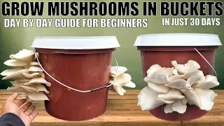 Grow Mushrooms at Home | Day-by-Day Guide for Beginners